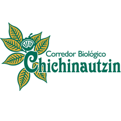 Corredor Biológico Chichinautzin
